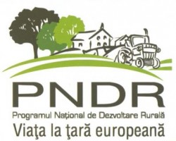 PNDR
