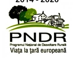 PNDR